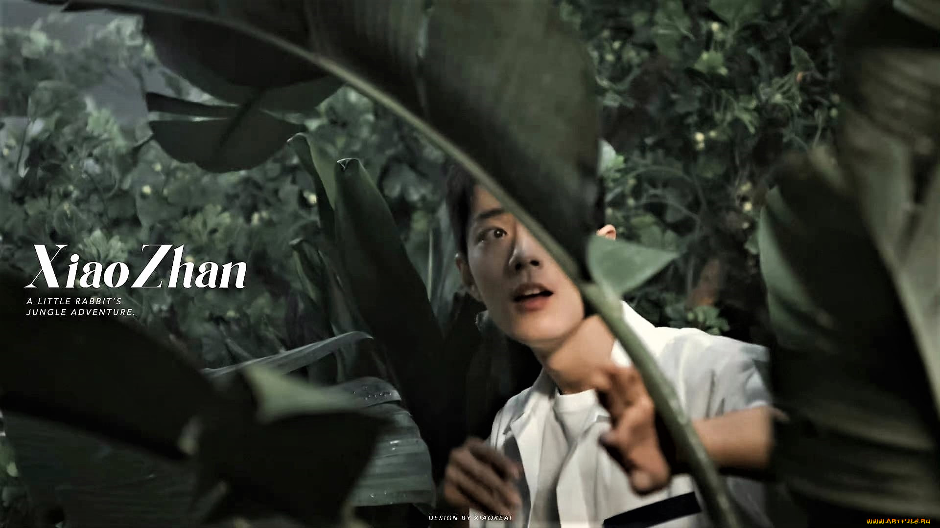 , xiao zhan, , , 